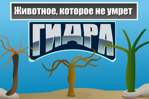 Официальная тор ссылка кракен сайта