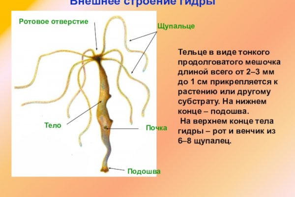 Официальная ссылка на кракен в тор