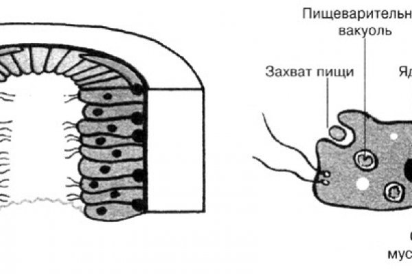 Кракен сыл ссылка