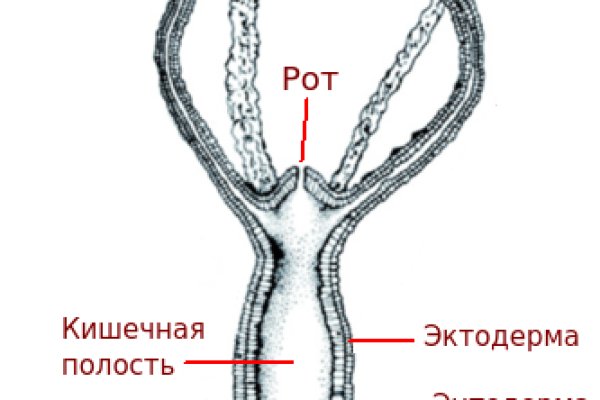 Кракен маркетплейс kr2web in площадка торговая